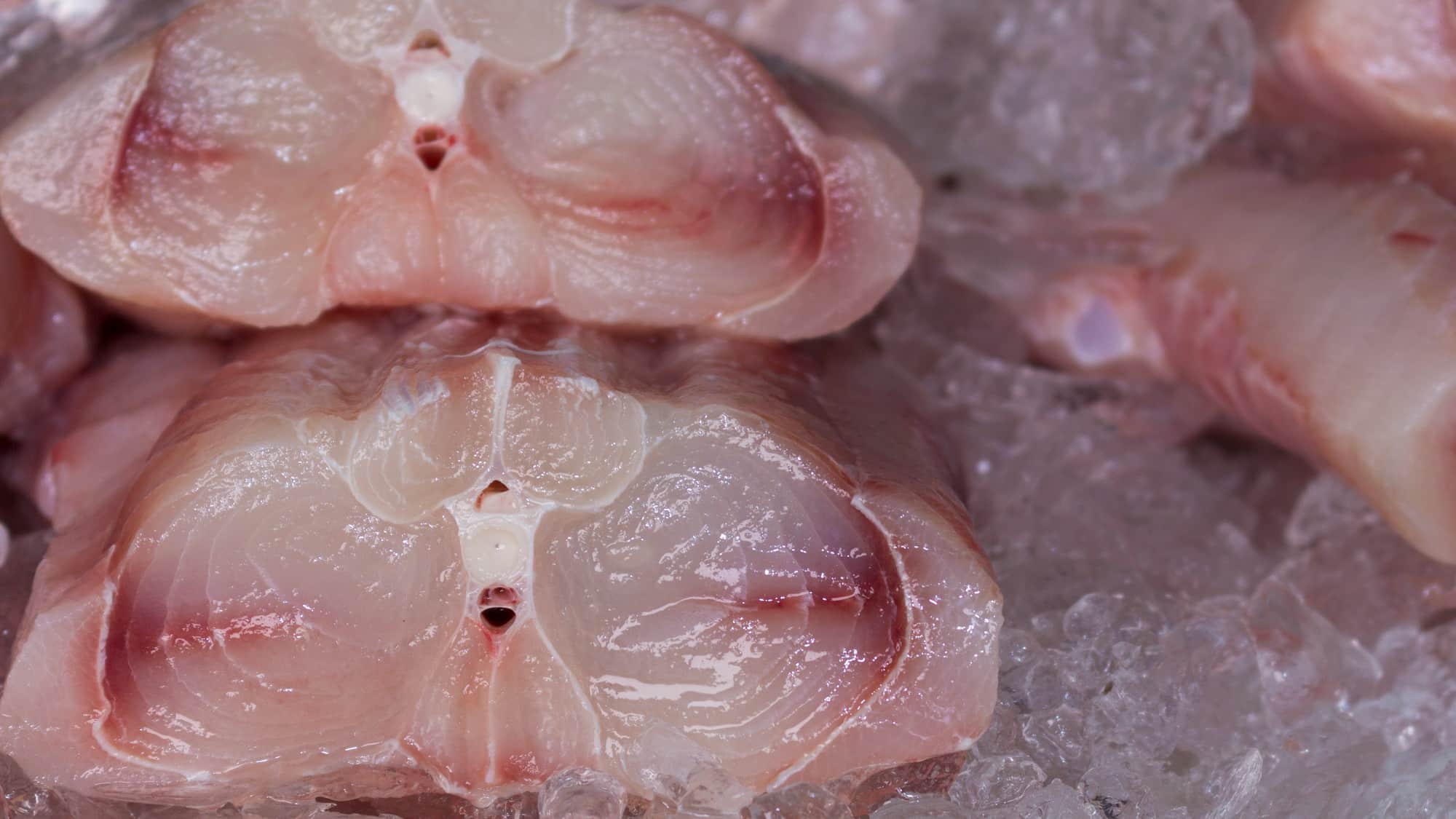 Der nützlichste Fisch. Besser als Karpfen und Lachs